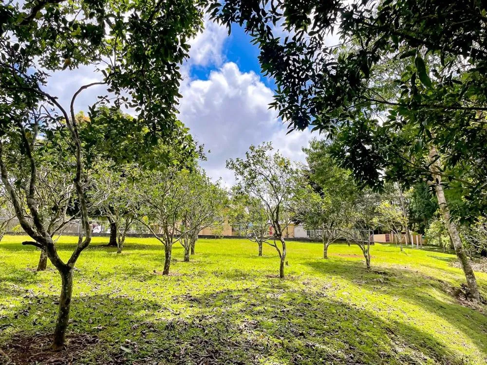 Land for Sale in Potrerillos Abajo, Dolega