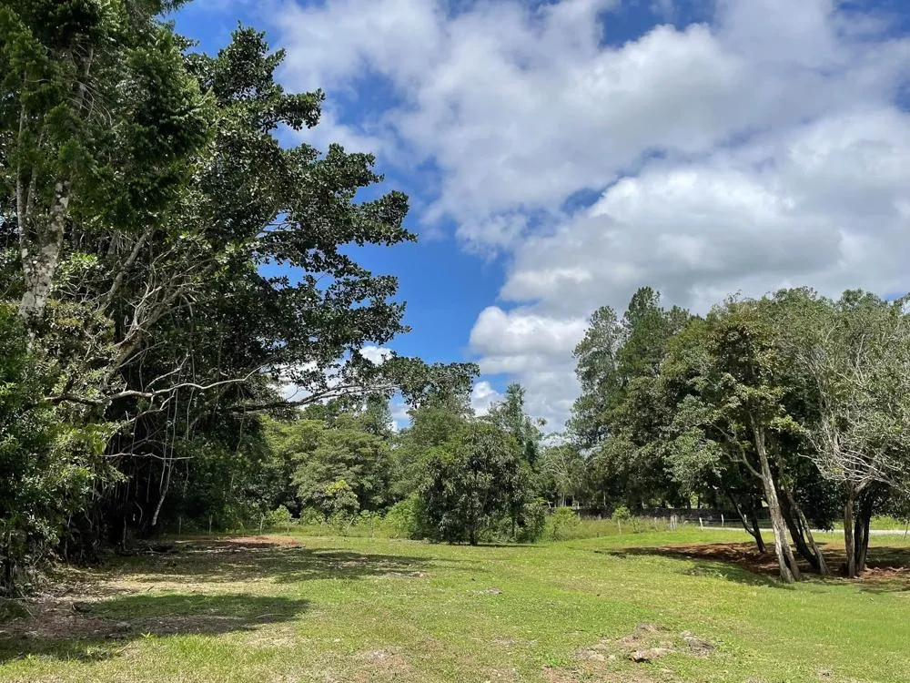 Land for Sale in Potrerillos Abajo, Dolega