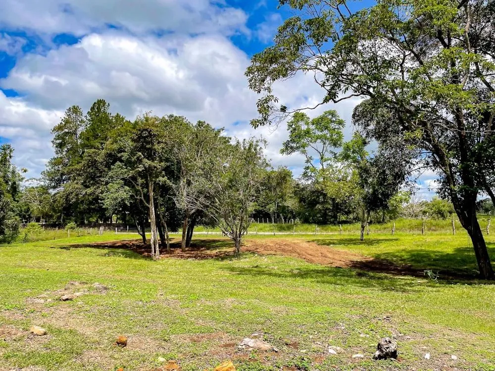 Land for Sale in Potrerillos Abajo, Dolega