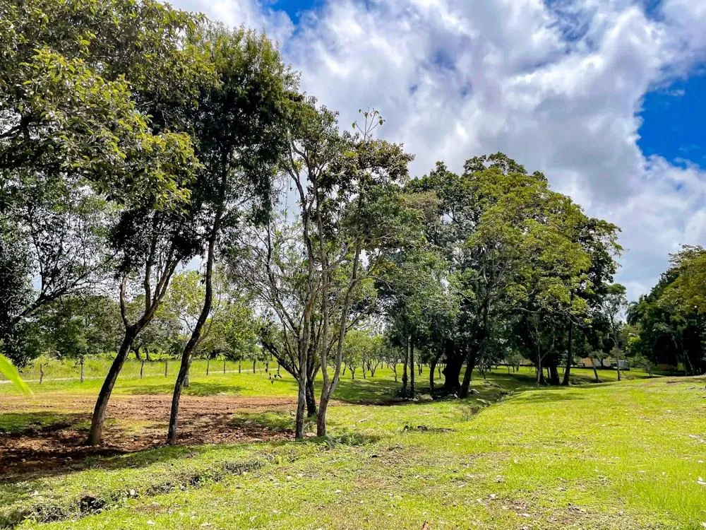 Land for Sale in Potrerillos Abajo, Dolega