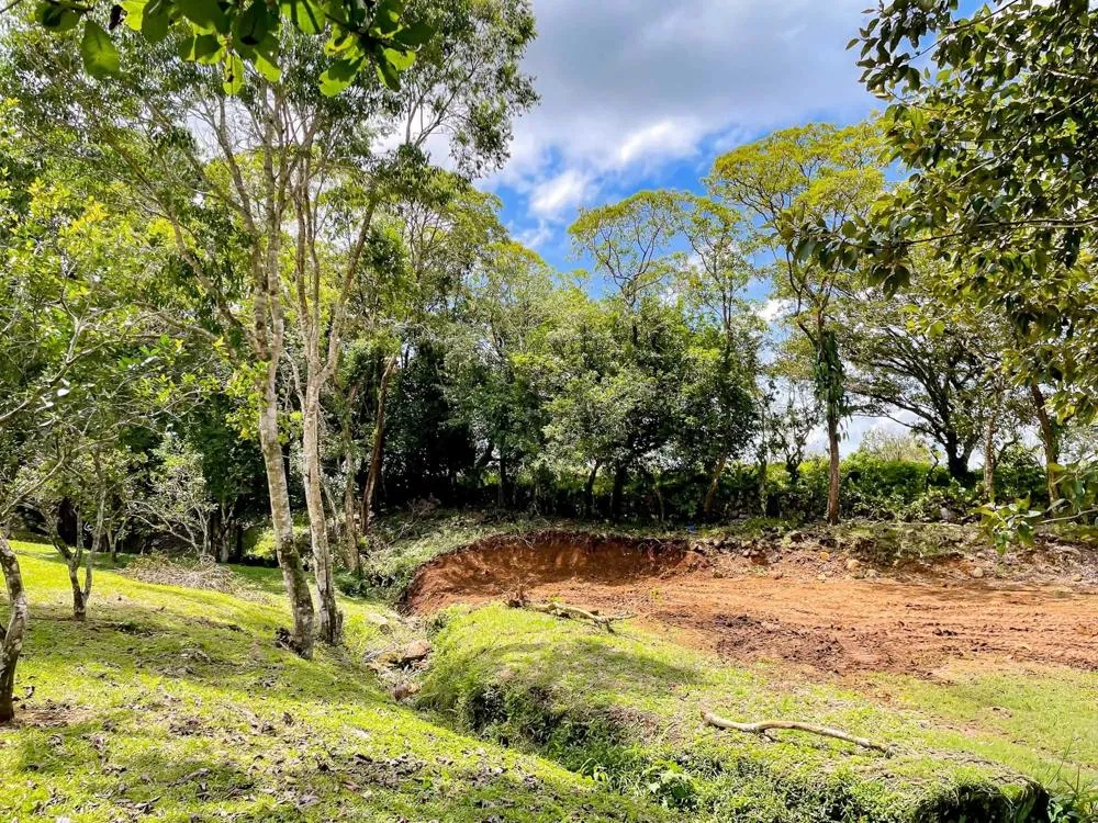 Land for Sale in Potrerillos Abajo, Dolega