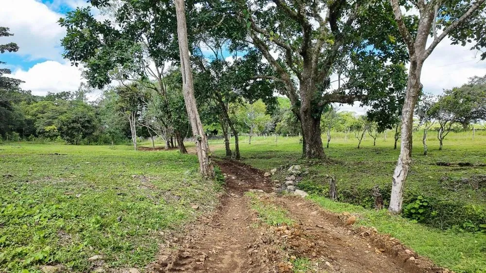 Land for Sale in Potrerillos Abajo, Dolega