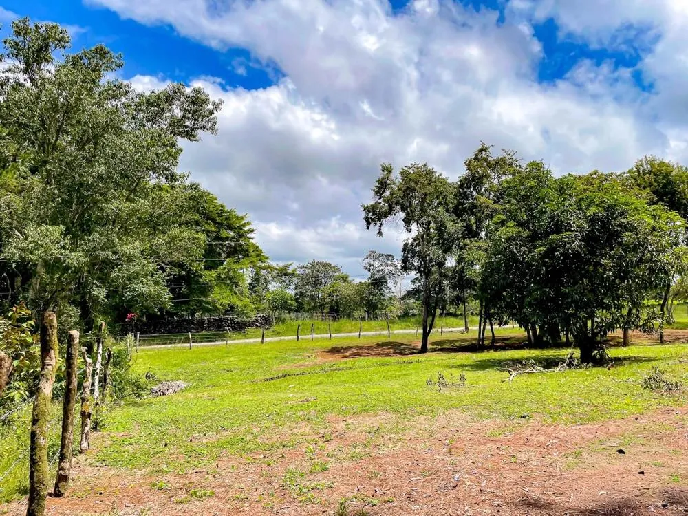 Land for Sale in Potrerillos Abajo, Dolega
