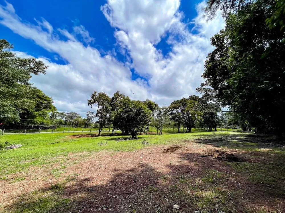 Land for Sale in Potrerillos Abajo, Dolega