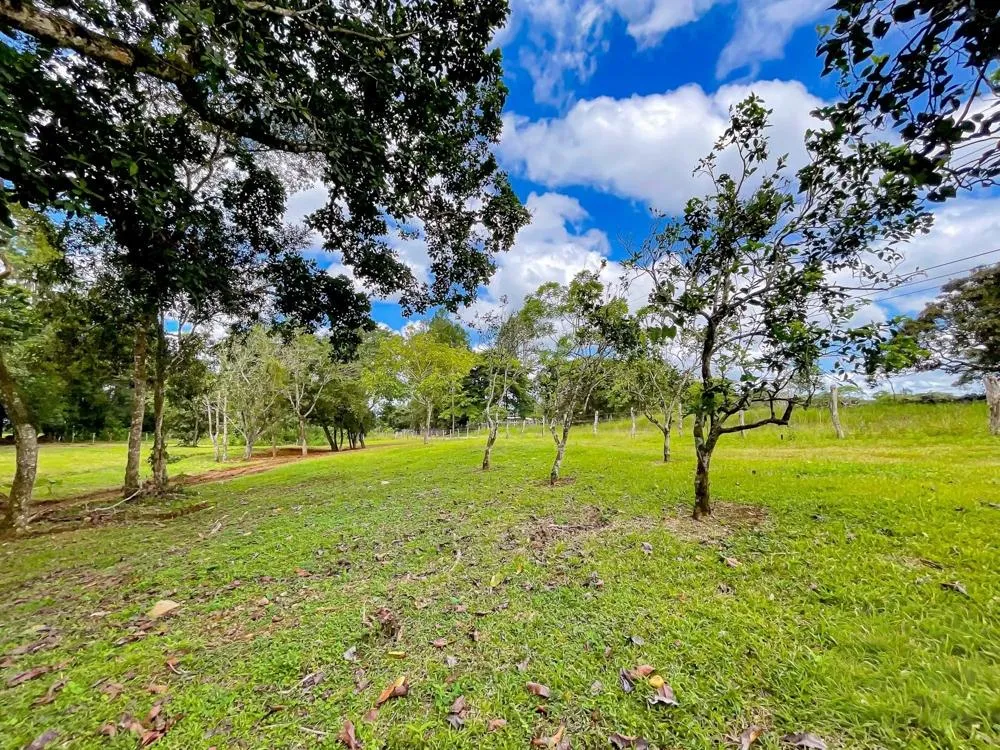 Land for Sale in Potrerillos Abajo, Dolega