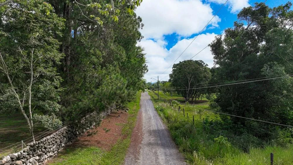 Land for Sale in Potrerillos Abajo, Dolega