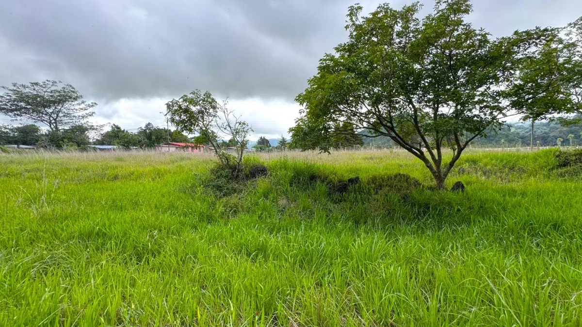 Lot with Beautiful Views in Volcán