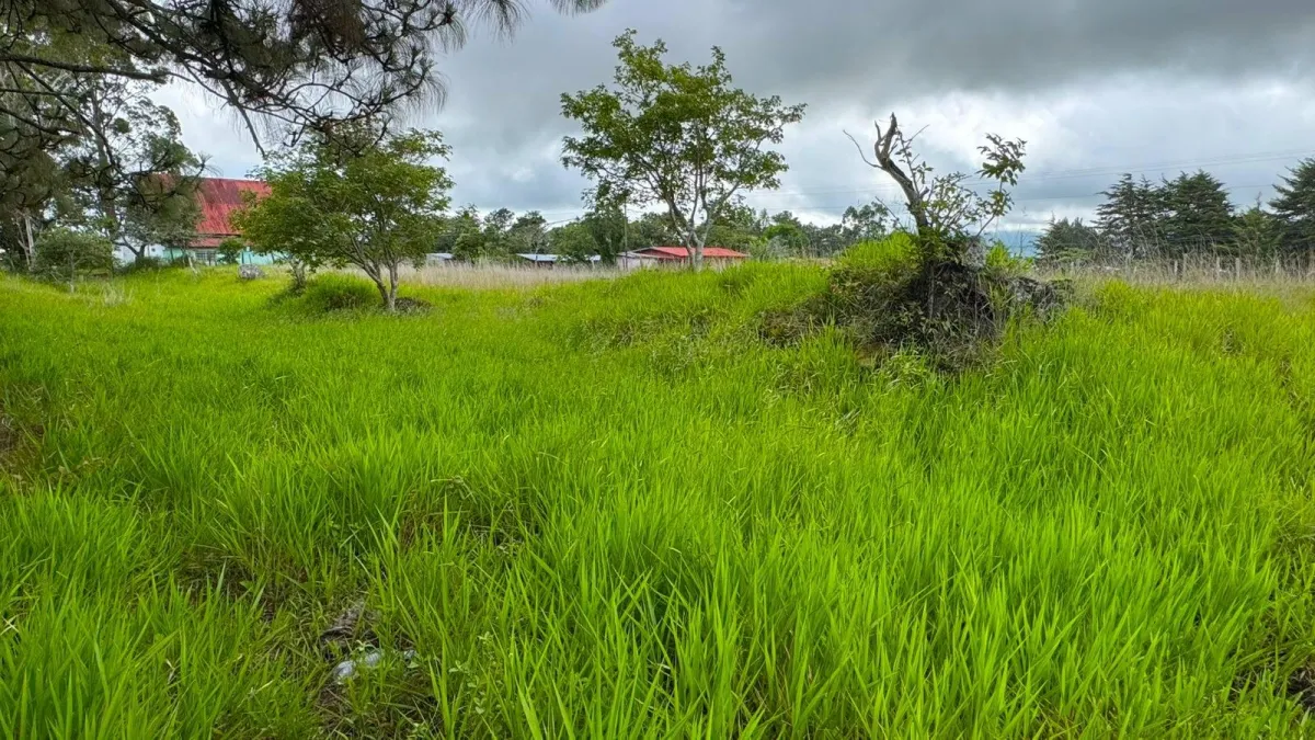 Lot with Beautiful Views in Volcán