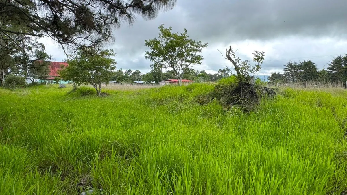 Lot with Beautiful Views in Volcán