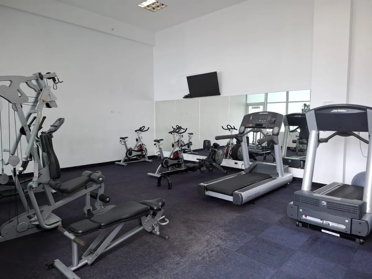 Apartment rentals PH Park Loft