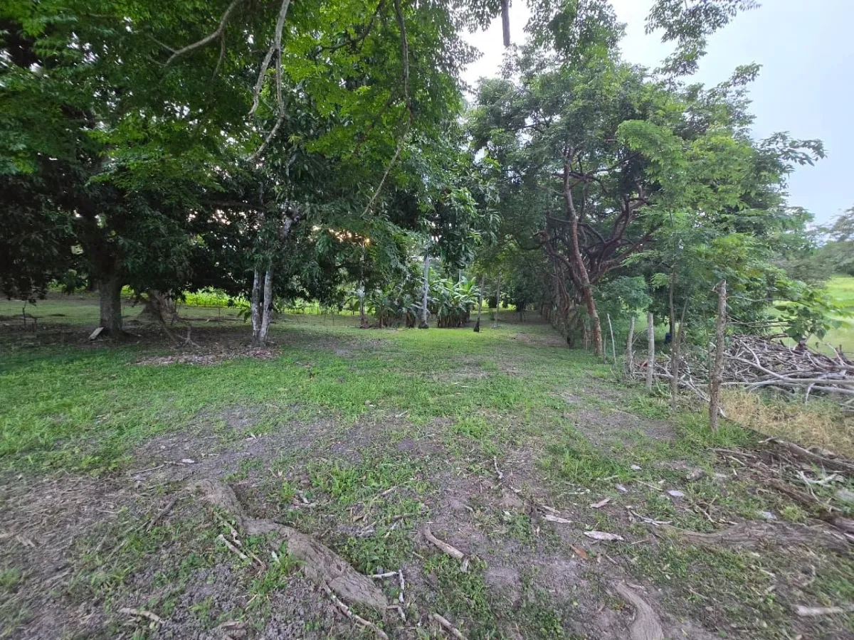 Terreno en La Ermita, a pocos metros de la playa y en muy buena ubicación.