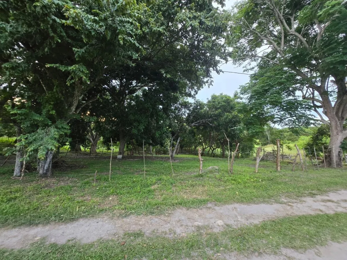 Terreno en La Ermita, a pocos metros de la playa y en muy buena ubicación.