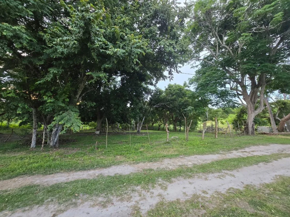 Terreno en La Ermita, a pocos metros de la playa y en muy buena ubicación.