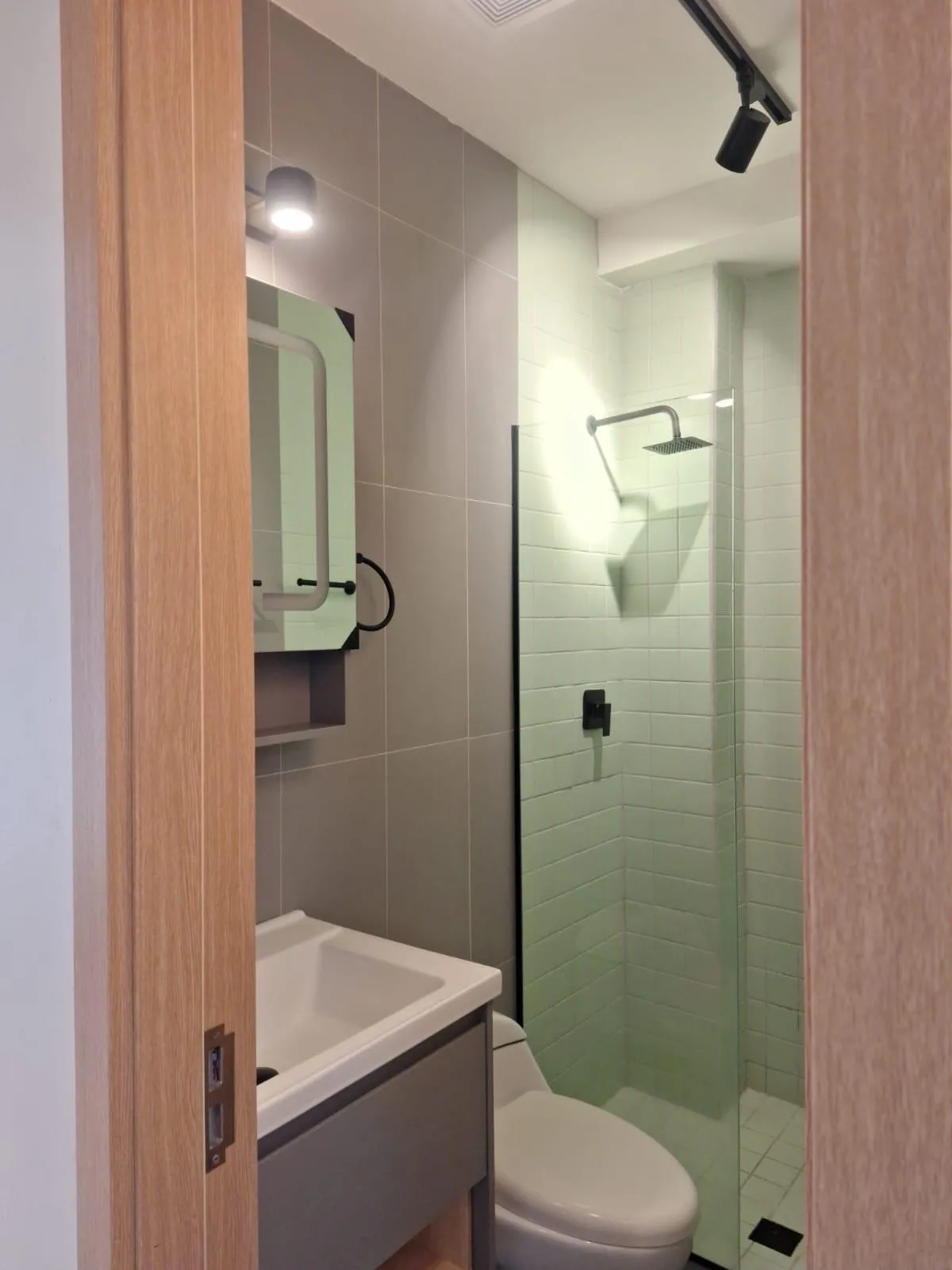 Modern furnished apartment for rent in Santiago