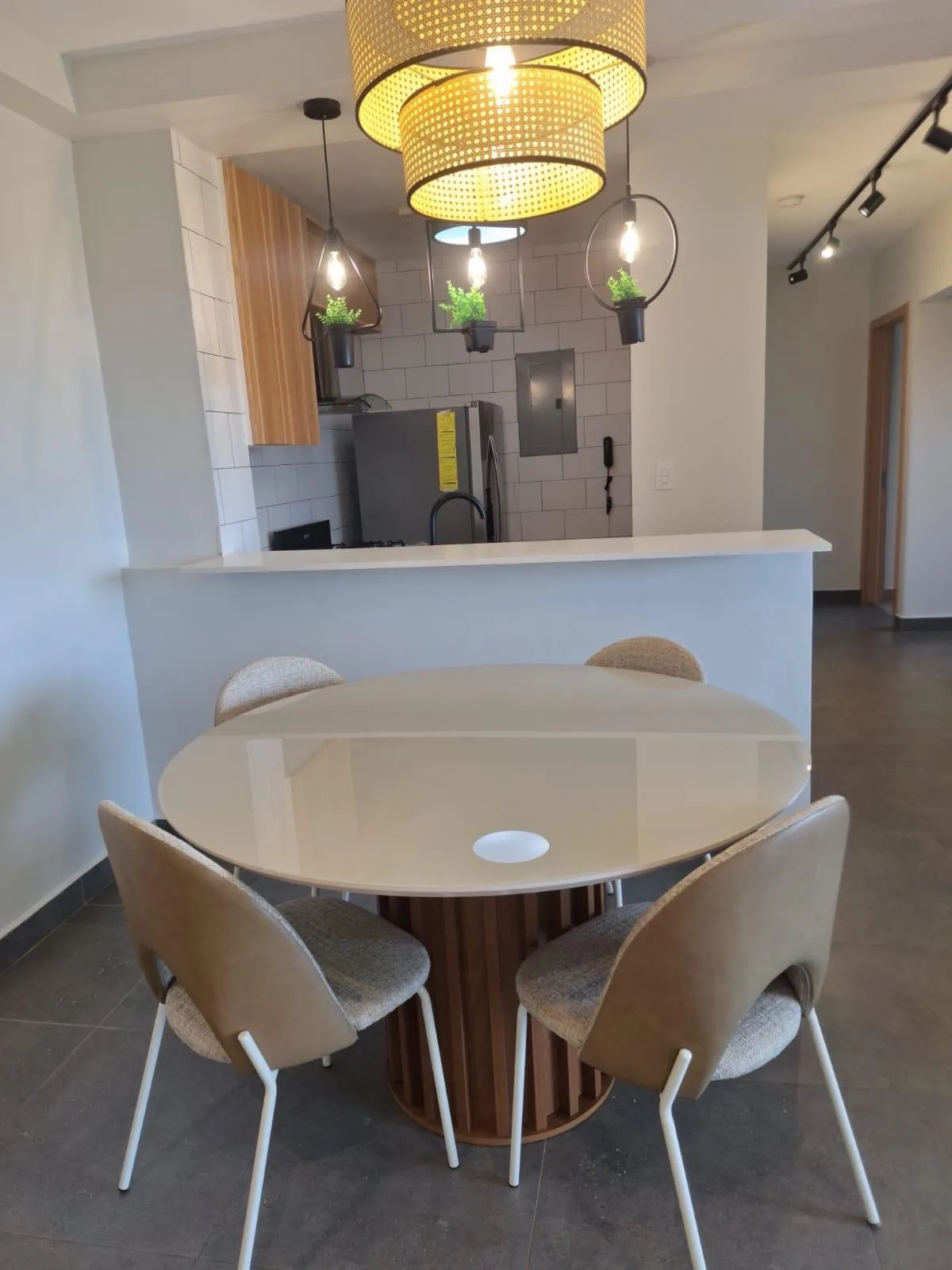 Modern furnished apartment for rent in Santiago