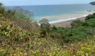 Se Vende 347 Hectareas Frente a Playa en Cerro Hoya Cerca de Cambutal, Panama