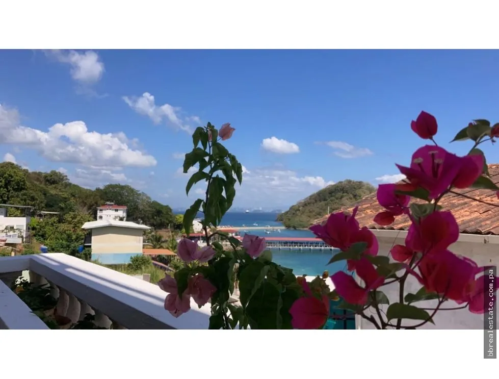House for Sale in Taboga