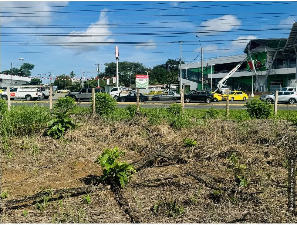Land Sale on Inter-American Highway, David, Chiriquí