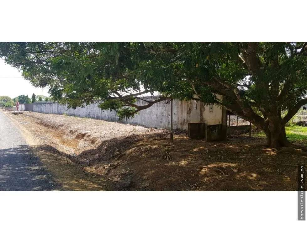 Sale of Land with Office on Inter-American Highway, David, San Pablo