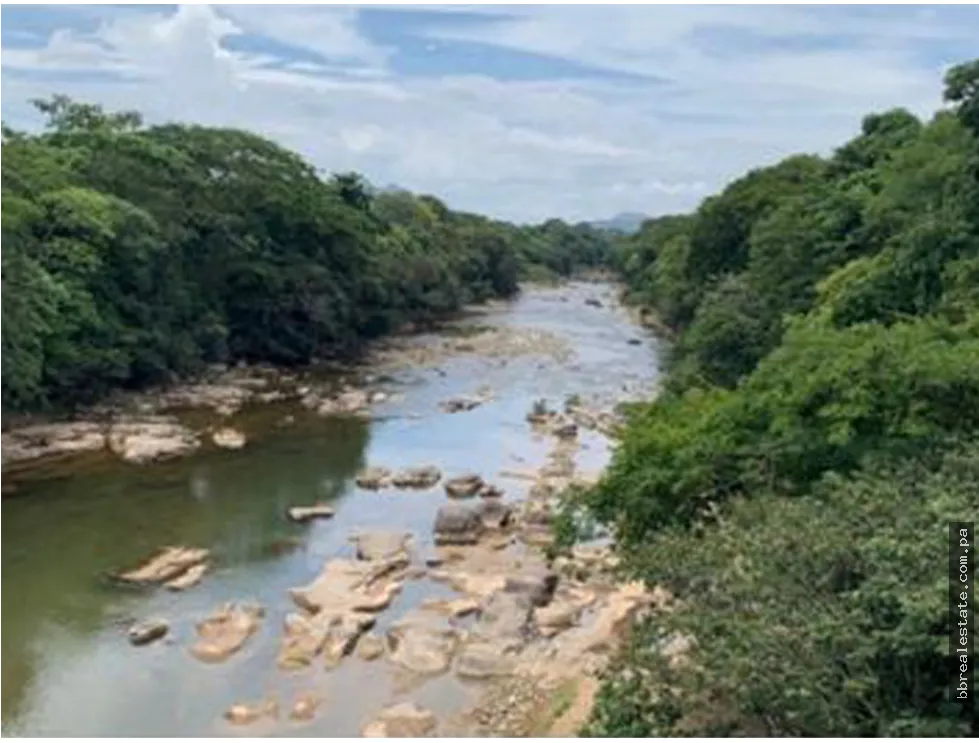 Se vende Finca en Rio Grande, Penonome
