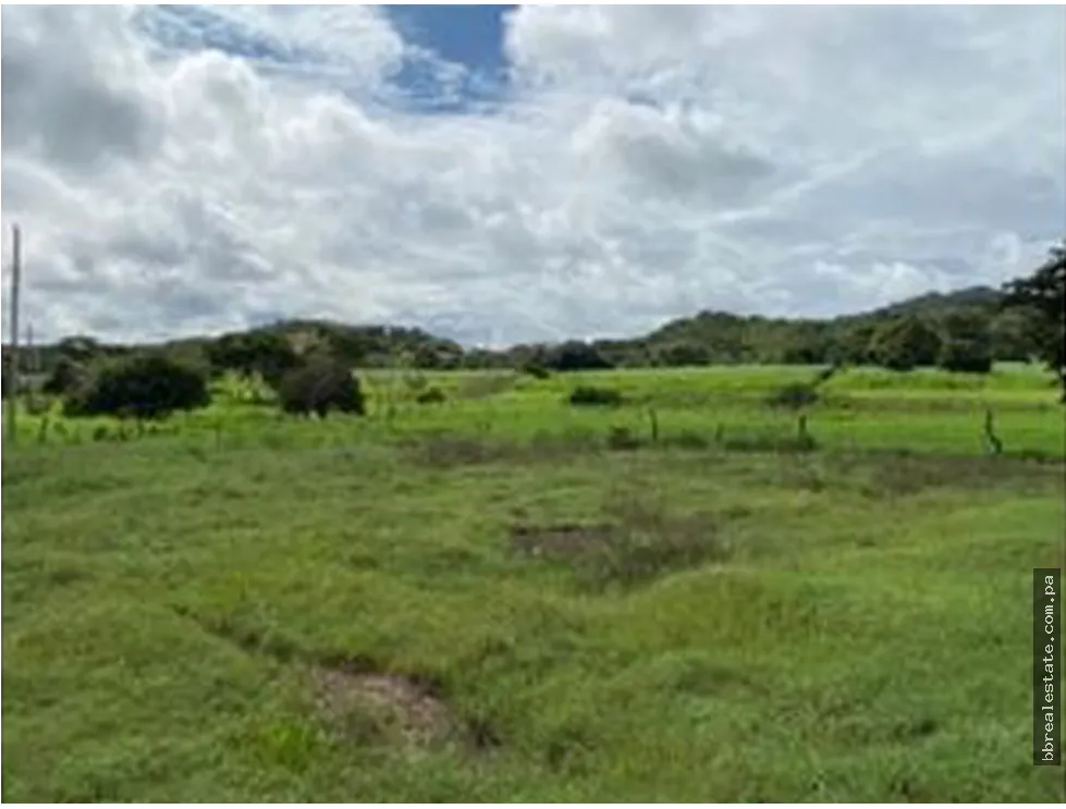 Se vende Finca en Rio Grande, Penonome