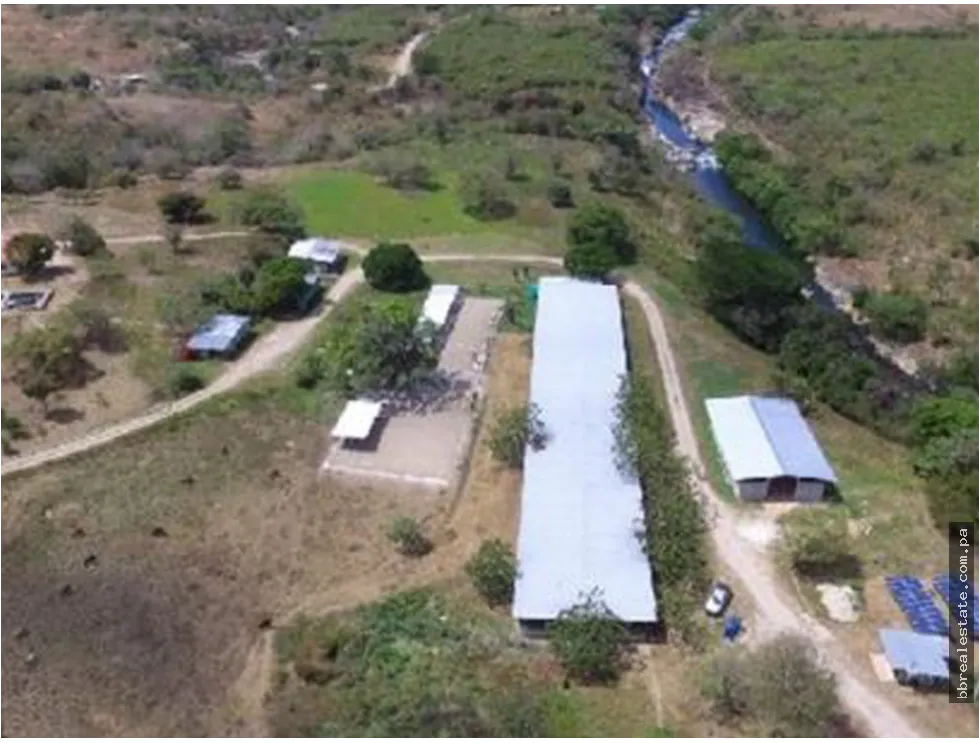 Se vende Finca en Rio Grande, Penonome