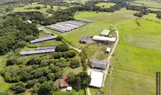 SE VENDE FINCA EN ANTON  CON AREA DE PRODUCCION Y CABALLERIZAS