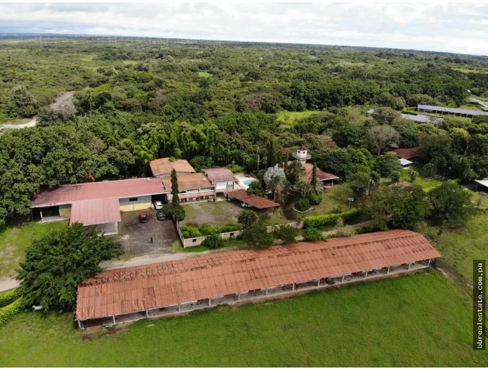 SE VENDE FINCA EN ANTON  CON AREA DE PRODUCCION Y CABALLERIZAS