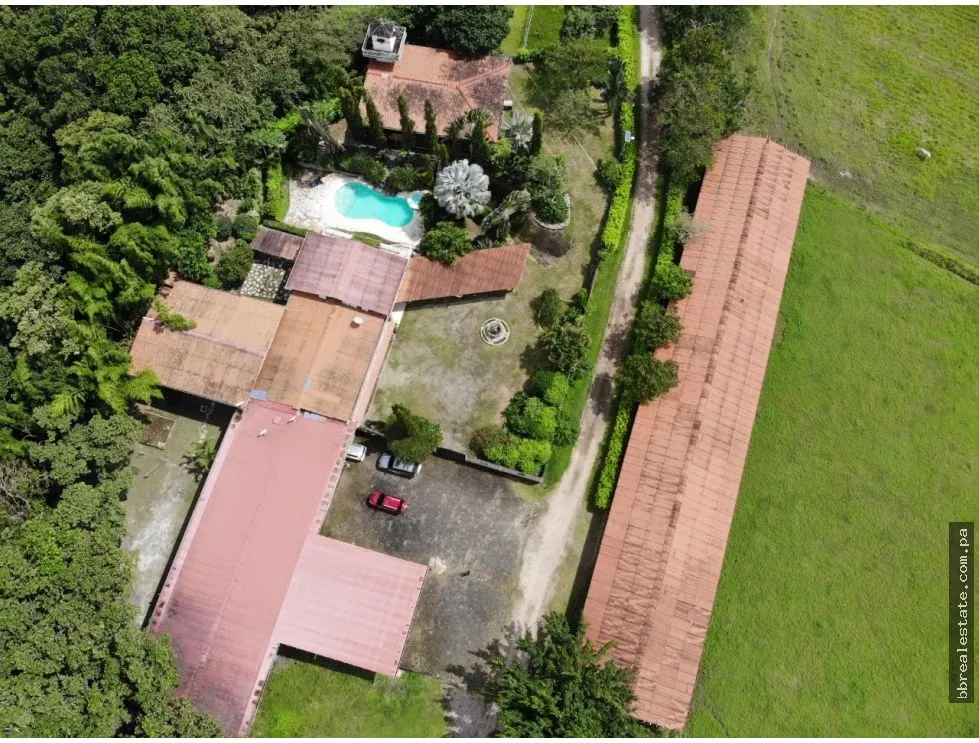 SE VENDE FINCA EN ANTON  CON AREA DE PRODUCCION Y CABALLERIZAS