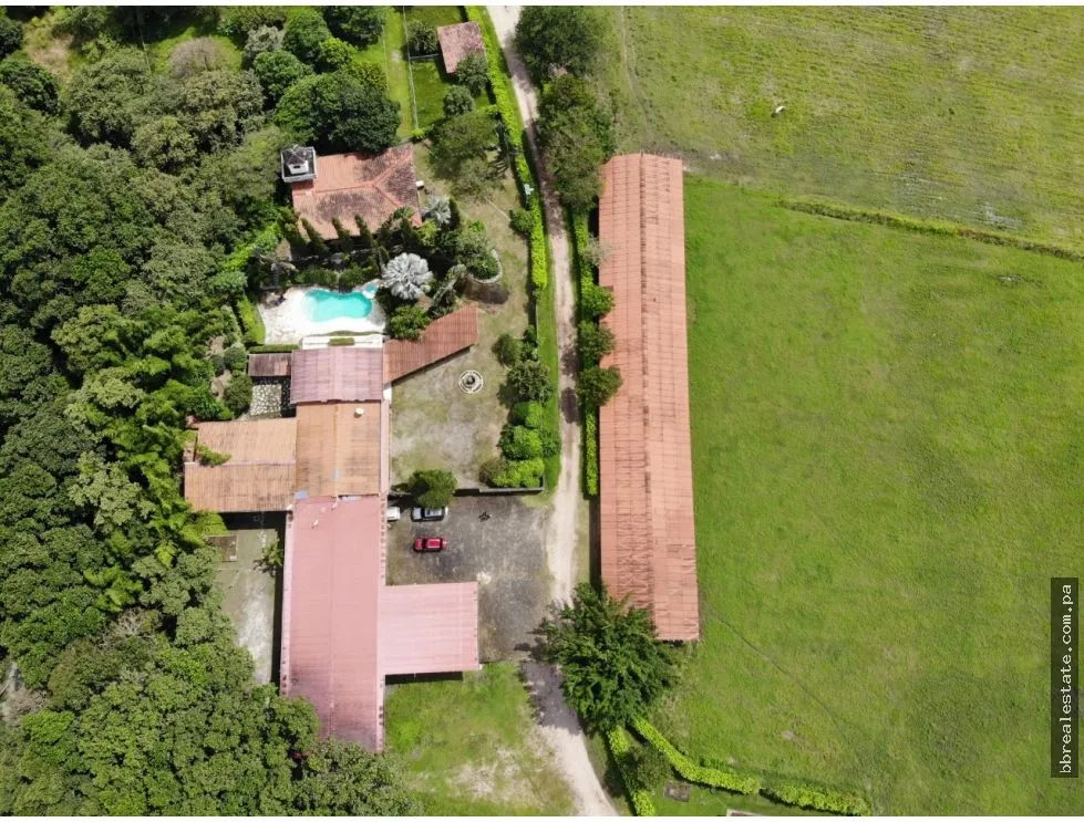 SE VENDE FINCA EN ANTON  CON AREA DE PRODUCCION Y CABALLERIZAS