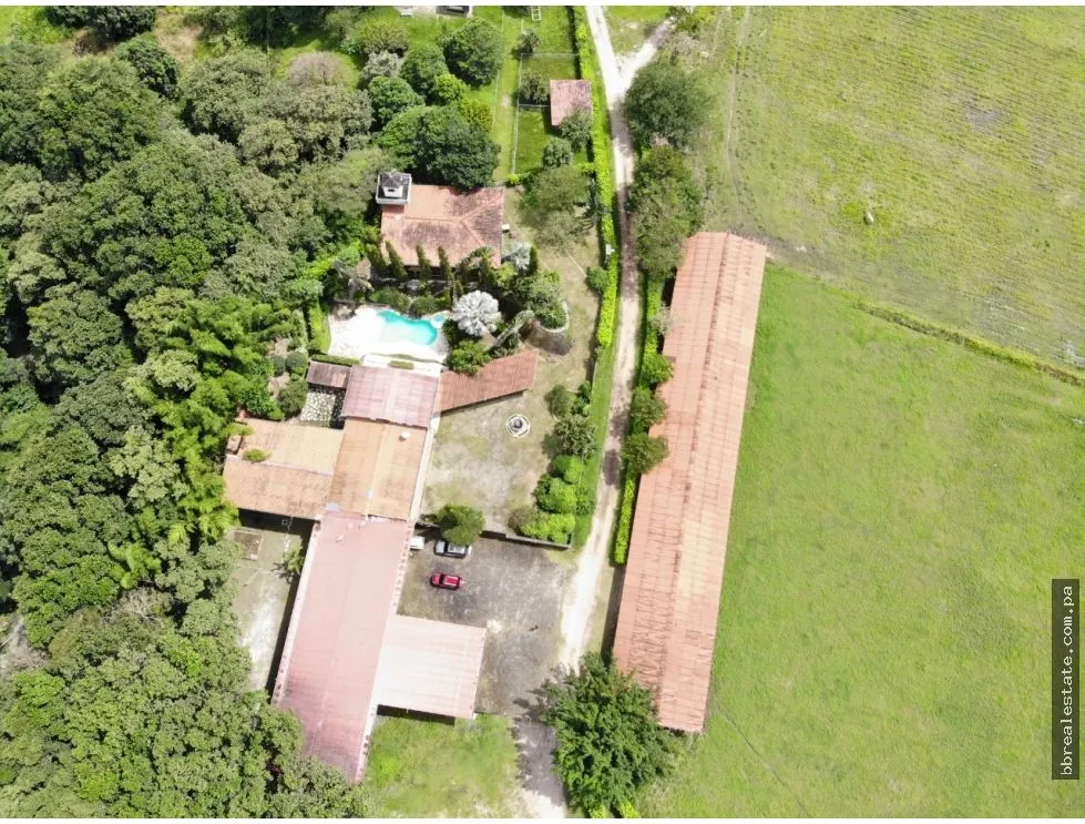 SE VENDE FINCA EN ANTON  CON AREA DE PRODUCCION Y CABALLERIZAS