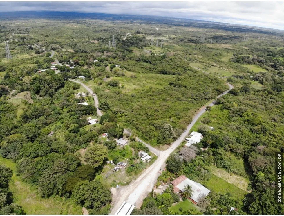 SE VENDE FINCA EN ANTON  CON AREA DE PRODUCCION Y CABALLERIZAS