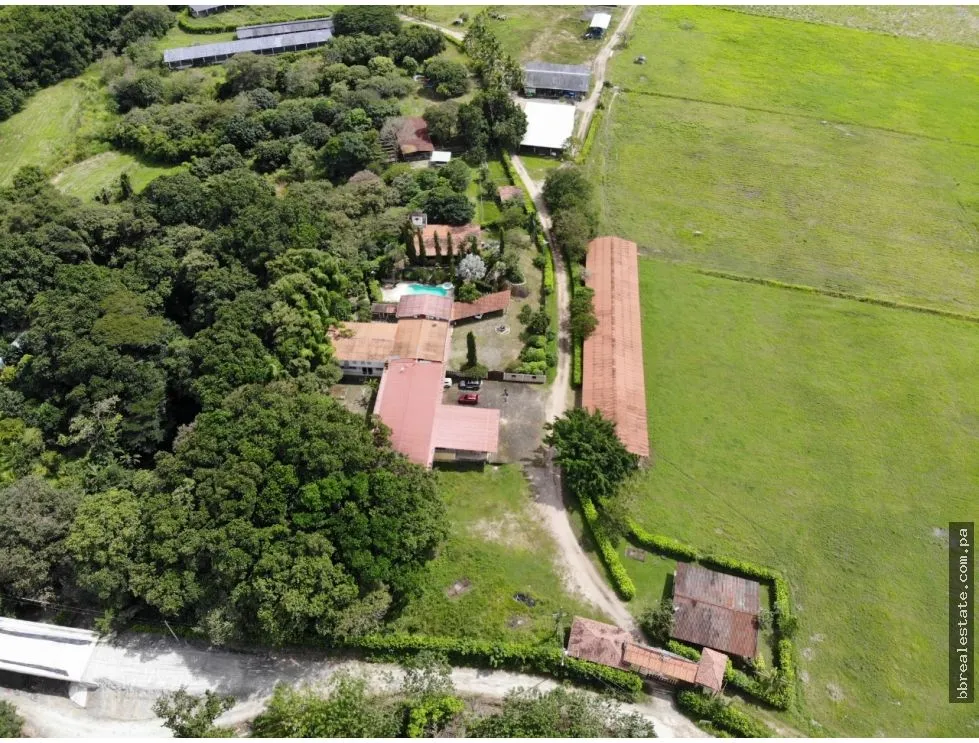 SE VENDE FINCA EN ANTON  CON AREA DE PRODUCCION Y CABALLERIZAS