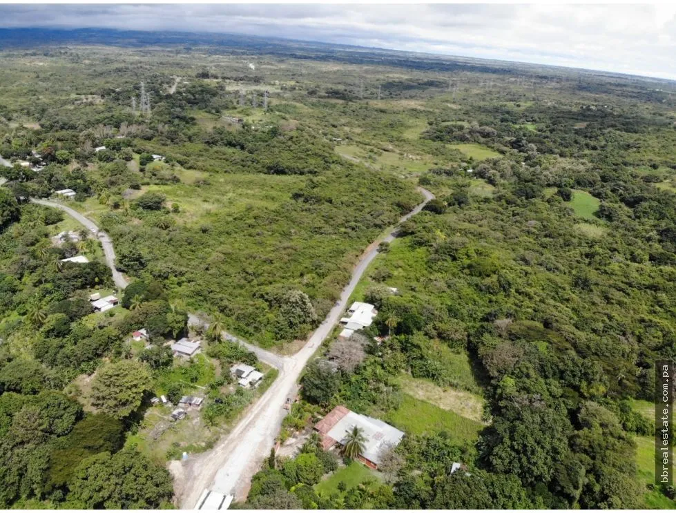 SE VENDE FINCA EN ANTON  CON AREA DE PRODUCCION Y CABALLERIZAS