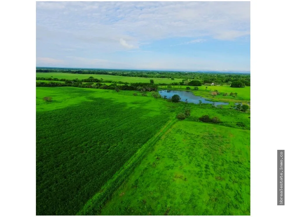 SE VENDE FINCA EN ANTON  CON AREA DE PRODUCCION Y CABALLERIZAS