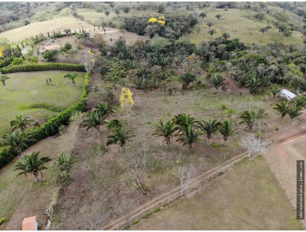VENTA DE LOTE CAMPESTRE - LA CHORRERA