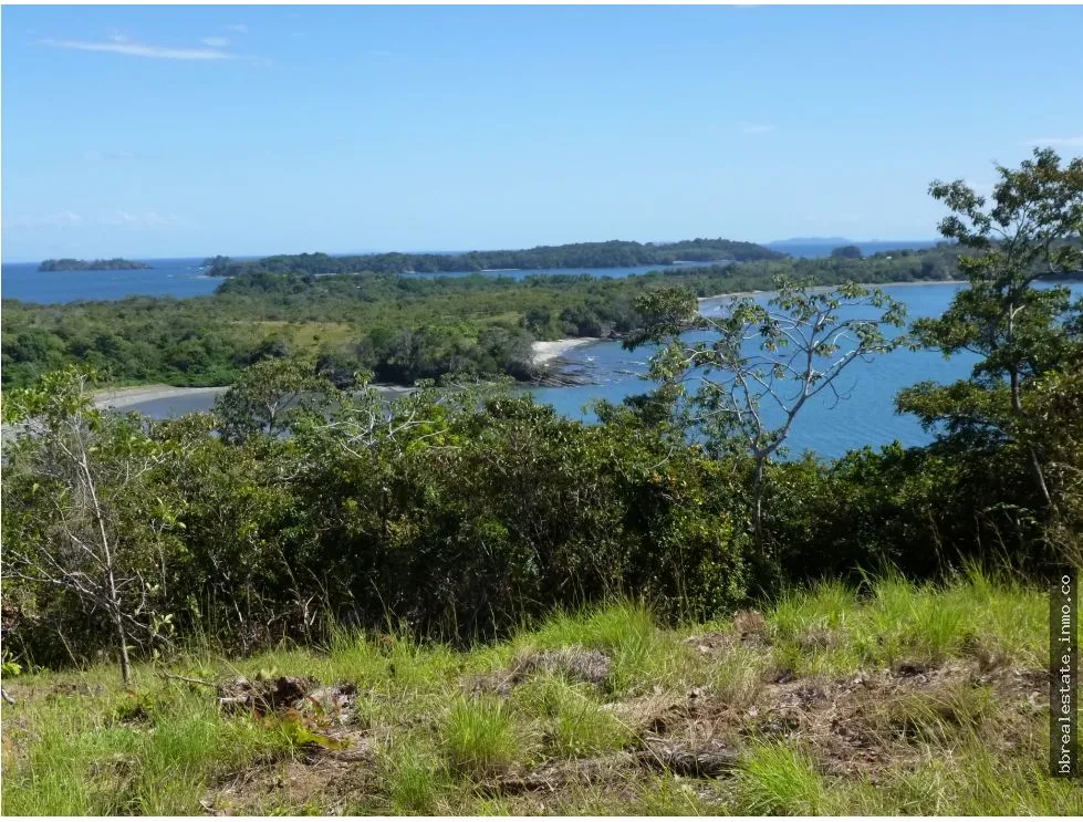 TERRENO EN VENTA CON PROYECCION HOTELERA - CHIRIQUI
