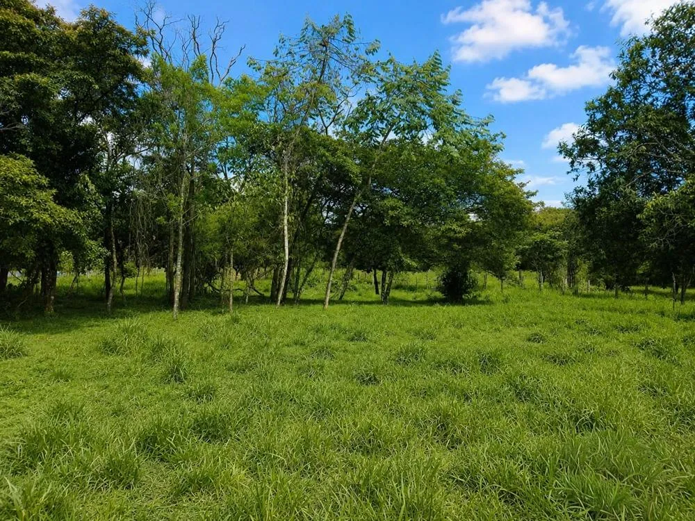 7.97 Acres of Land for Sale on the Road to Caldera