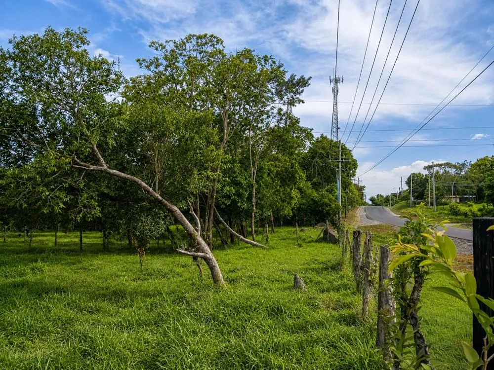 7.97 Acres of Land for Sale on the Road to Caldera