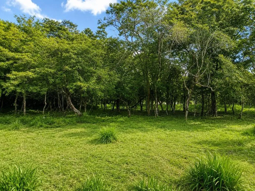 7.97 Acres of Land for Sale on the Road to Caldera