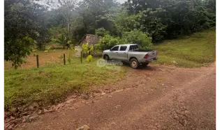 SE VENDE FINCA EN COCLE  LA PINTADA 17 HECTAREAS  FRENTE AL RIO