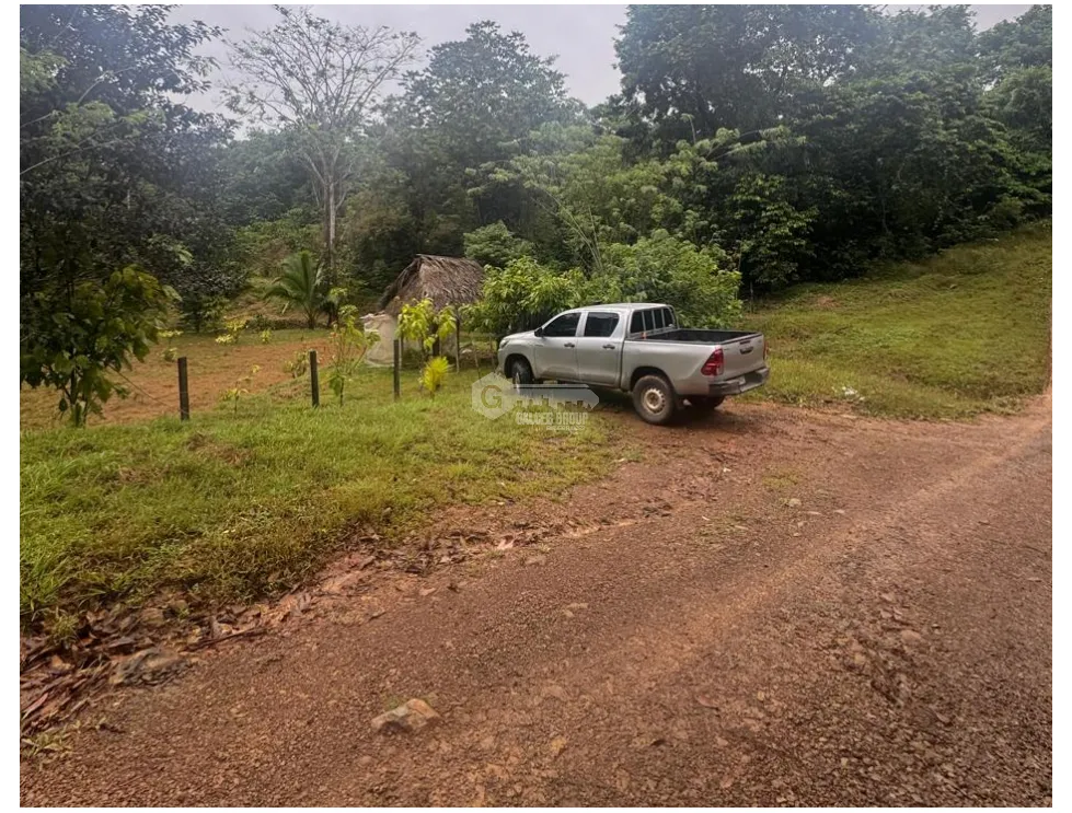 SE VENDE FINCA EN COCLE  LA PINTADA 17 HECTAREAS  FRENTE AL RIO