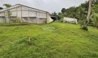 FINCA / COCLE / LA PINTADA / 17 HECTAREAS / FRENTE AL RIO