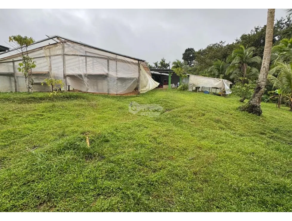 FINCA / COCLE / LA PINTADA / 17 HECTAREAS / FRENTE AL RIO