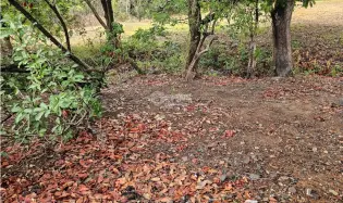 Building Lot for sale in San Carlos