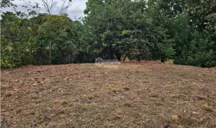 Building Lot for sale in San Carlos
