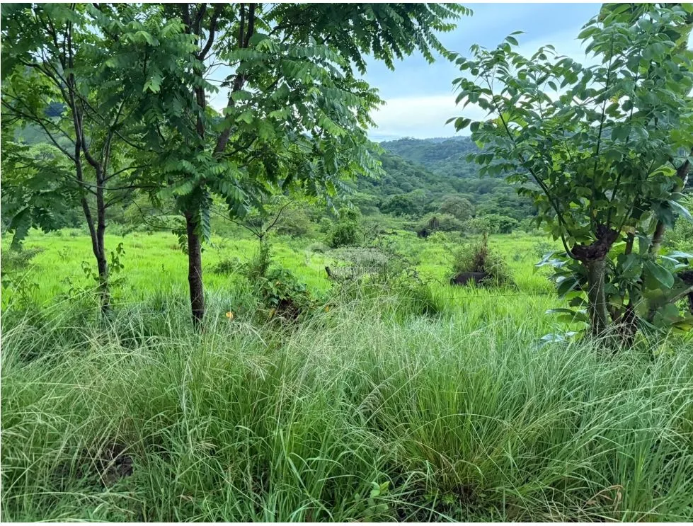 Land/Farm for sale in Sora