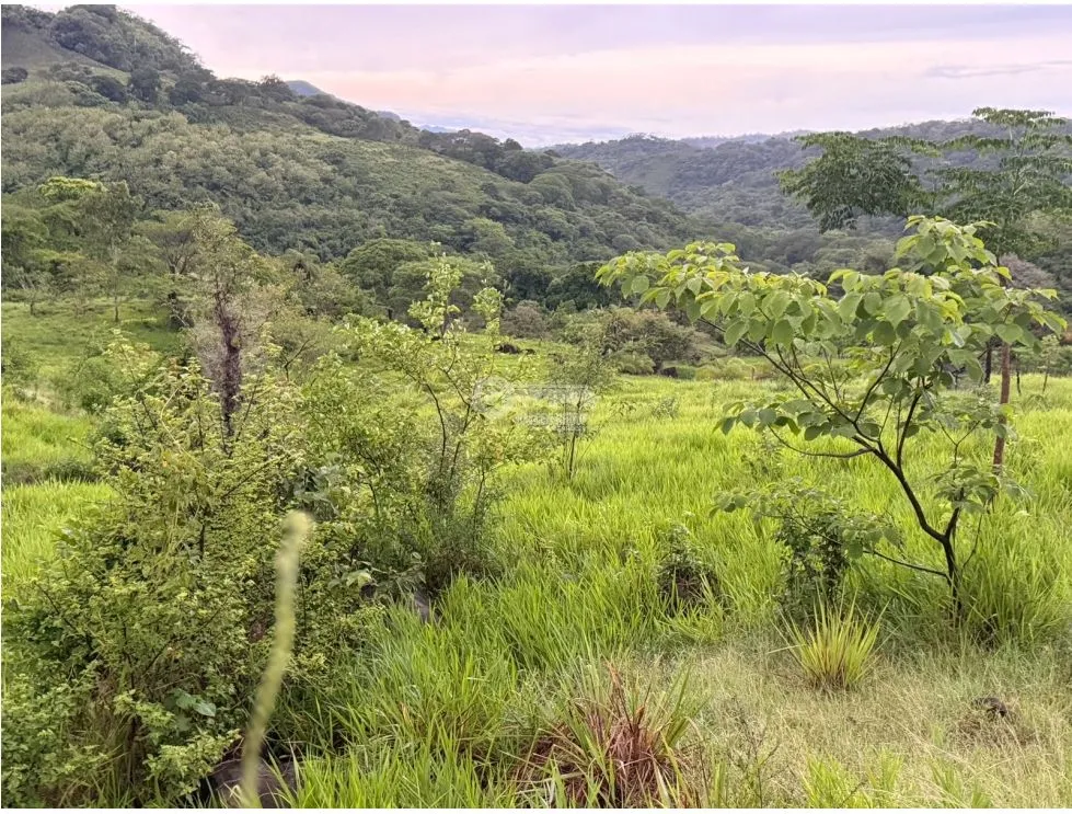 Land/Farm for sale in Sora