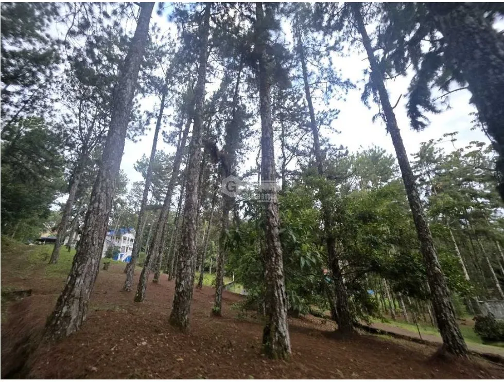 ALTOS DE CERRO AZUL / 3 BEDROOMS / 3 BATHROOMS / 2 STORIES