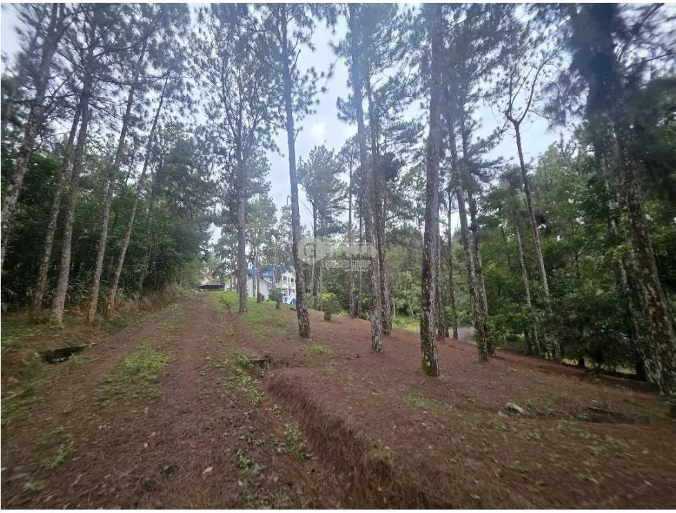 ALTOS DE CERRO AZUL / 3 BEDROOMS / 3 BATHROOMS / 2 STORIES